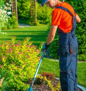 Gardening